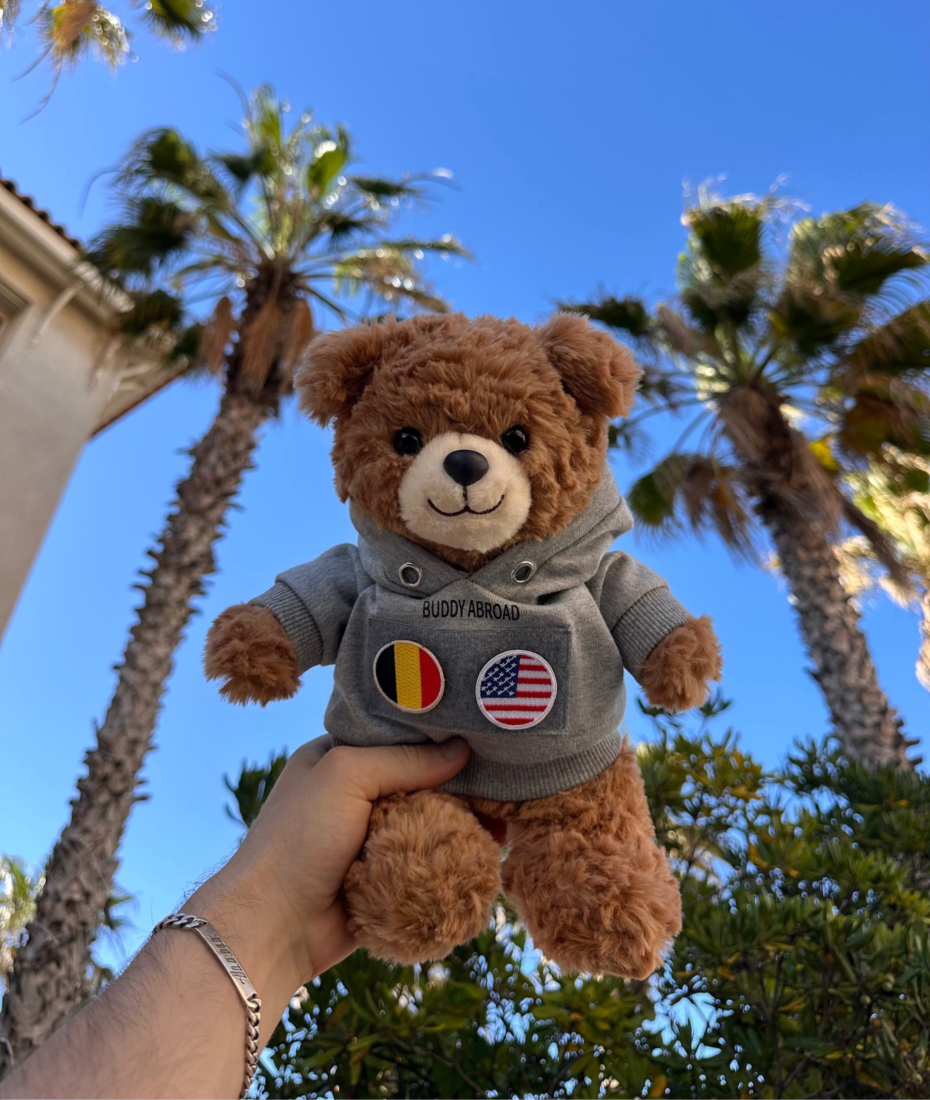 Buddy Abroad Bear + 2 Country Flags